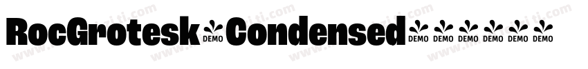 RocGrotesk-Condensed字体转换