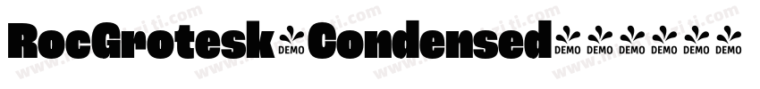 RocGrotesk-Condensed字体转换
