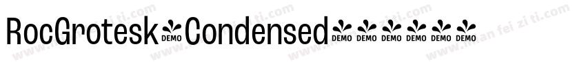 RocGrotesk-Condensed字体转换