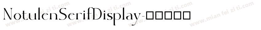 NotulenSerifDisplay字体转换