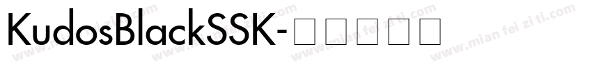 KudosBlackSSK字体转换