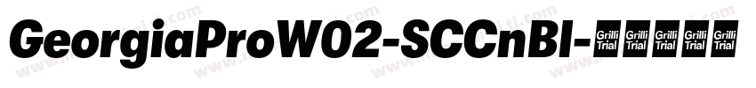 GeorgiaProW02-SCCnBl字体转换