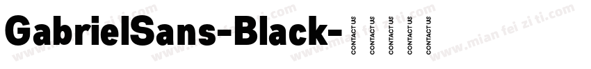 GabrielSans-Black字体转换