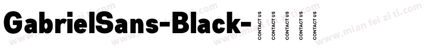 GabrielSans-Black字体转换