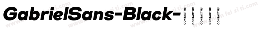 GabrielSans-Black字体转换