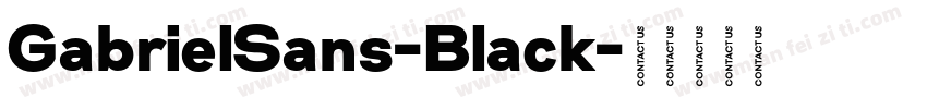 GabrielSans-Black字体转换