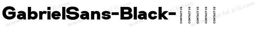 GabrielSans-Black字体转换