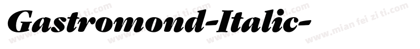 Gastromond-Italic字体转换