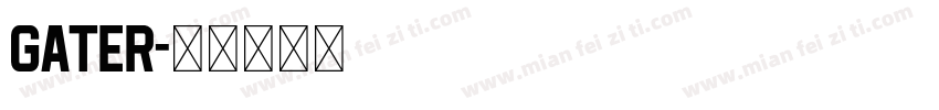 gater字体转换