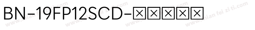 BN-19FP12SCD字体转换