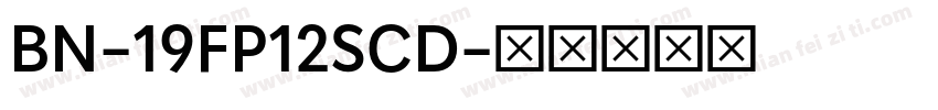BN-19FP12SCD字体转换