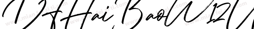 DFHaiBaoW12U-B5字体转换