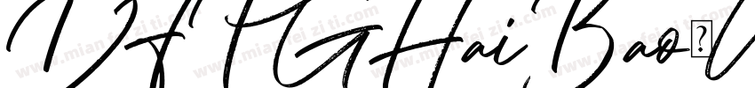 DFPGHaiBao-W12字体转换