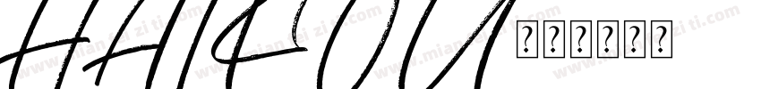 HAIKOU字体转换