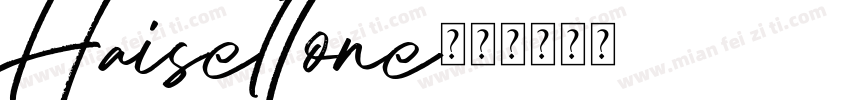 Haiseltone字体转换