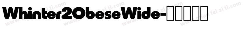 Whinter2ObeseWide字体转换