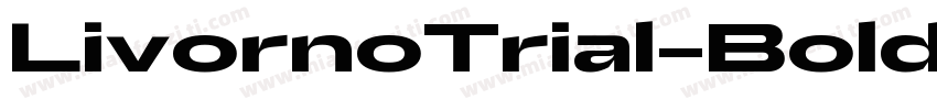 LivornoTrial-Bold字体转换