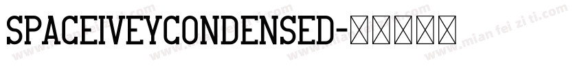 SpaceIveyCondensed字体转换
