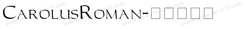 CarolusRoman字体转换