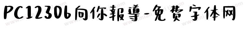 PC12306向你報導字体转换