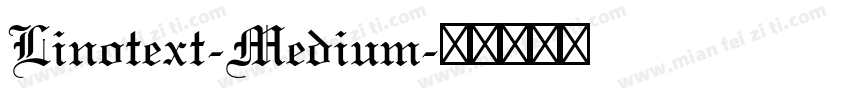 Linotext-Medium字体转换