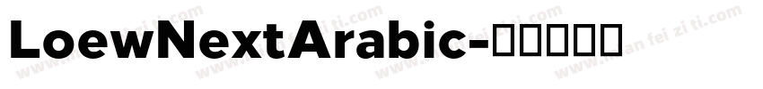 LoewNextArabic字体转换