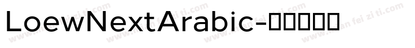 LoewNextArabic字体转换