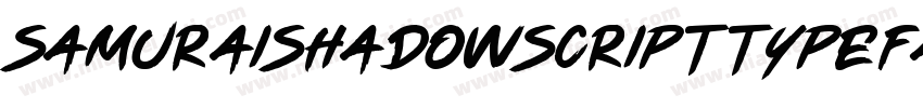 SamuraiShadowScriptTypeface字体转换