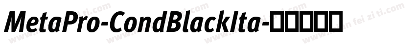 MetaPro-CondBlackIta字体转换