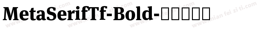 MetaSerifTf-Bold字体转换