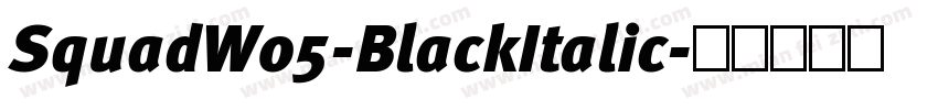 SquadW05-BlackItalic字体转换