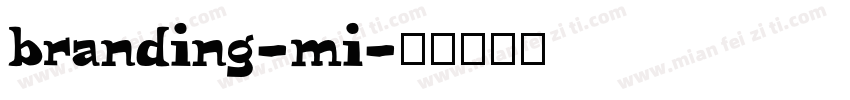 branding-mi字体转换