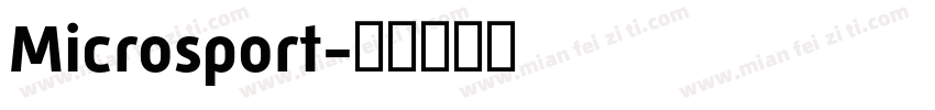 Microsport字体转换