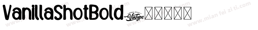 VanillaShotBold字体转换