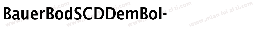 BauerBodSCDDemBol字体转换