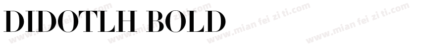 DidotLH-Bold字体转换