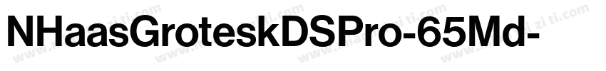 NHaasGroteskDSPro-65Md字体转换