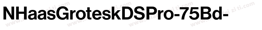 NHaasGroteskDSPro-75Bd字体转换