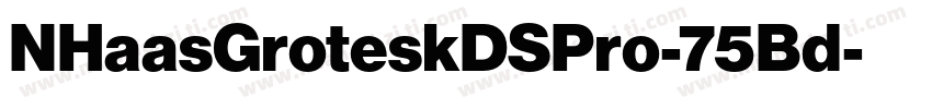 NHaasGroteskDSPro-75Bd字体转换