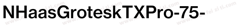 NHaasGroteskTXPro-75字体转换