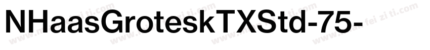NHaasGroteskTXStd-75字体转换