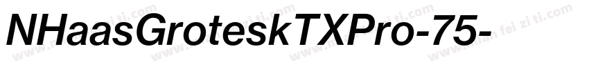 NHaasGroteskTXPro-75字体转换
