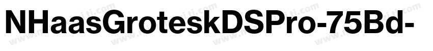 NHaasGroteskDSPro-75Bd字体转换
