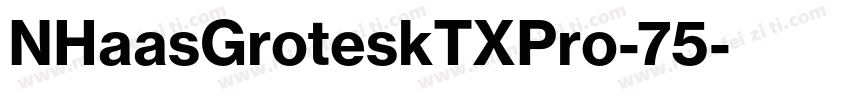 NHaasGroteskTXPro-75字体转换