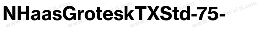 NHaasGroteskTXStd-75字体转换