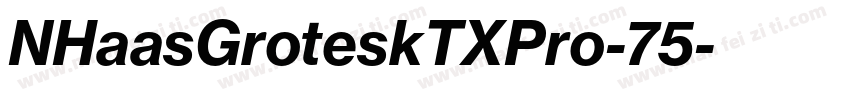 NHaasGroteskTXPro-75字体转换
