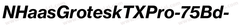 NHaasGroteskTXPro-75Bd字体转换