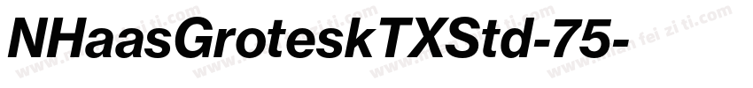 NHaasGroteskTXStd-75字体转换