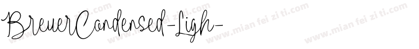 BreuerCondensed-Ligh字体转换