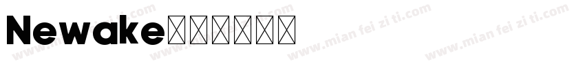 Newake字体转换